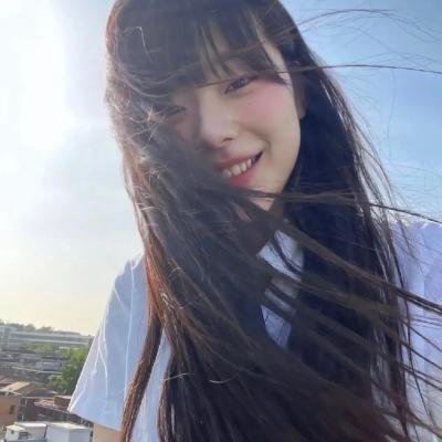 鬣狗之城